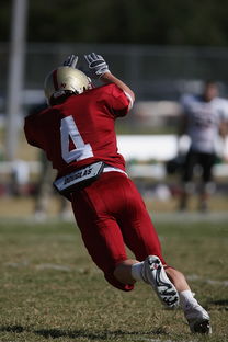 乐鱼体育平台app下载-五大联赛争四阶段关键球员贡献值差异对比，五大联赛引援